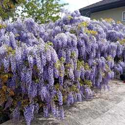 CACHE/images/img/ad/2026/08/06/f5742541-8436-4d2c-8c14-0f3fdf1c5821/a9d37c09e9b71c92cbfd66a9aa160479.jpg